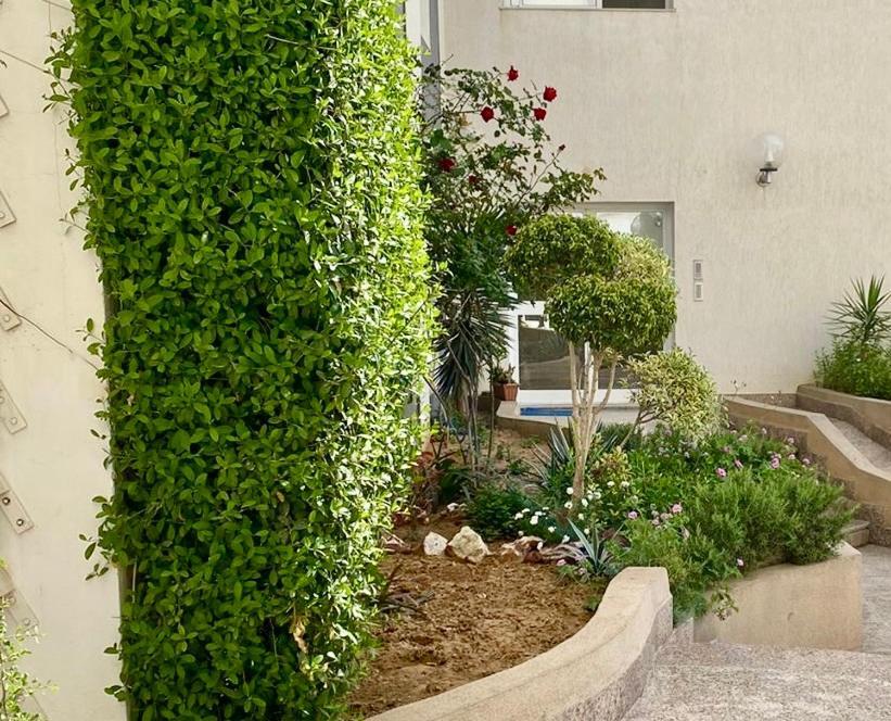 Casa Charm Falaise Monastir Exteriör bild